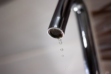 Новость дня