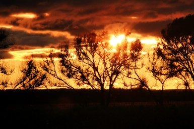 Эколог Пукалов предупредил о катастрофах из-за резкого потепления климата в РФ