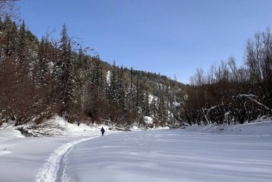 В выходные в Якутске дневная температура составит +10°
