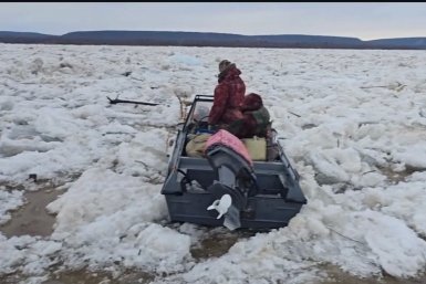 Новость дня