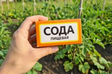 Тематическое фото Создано при помощи ИИ