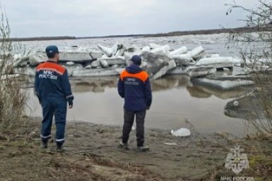Новость дня
