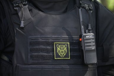 &quotТигр-правопорядок&quot за неделю задержал почти два десятка хулиганов во Владивостоке Иван Дякин, правительство Приморья