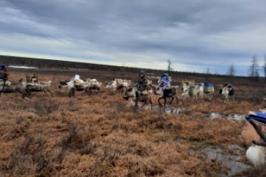 Мобильный детский сад для семей коренных народов Севера из архива семьи Семеновых