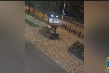 На жителя Ставрополя возбудили три уголовных дела за кражу растений из клумб ГУ МВД Ставрополья
