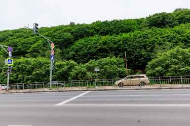 Лес в районе Снеговой Пади, вид снизу Яна Гайдук, ИА PrimaMedia