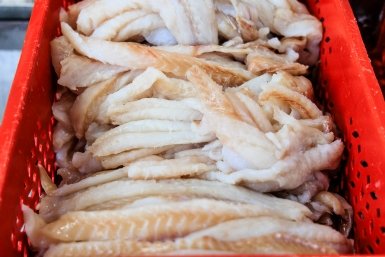 Тематическое фото Евгений  Кулешов, ИА PrimaMedia