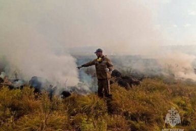В Якутии потушили два крупных лесных пожара Пресс-служба МЧС по Якутии