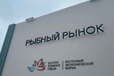 Что предлагают на рыбном рынке ВЭФ-2026 во Владивостоке ИА PrimaMedia