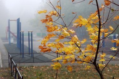 Гороскоп на 24 сентября: Откажитесь от посиделок с коллегами Сергей Бумагин, ИА Stavropol.Media