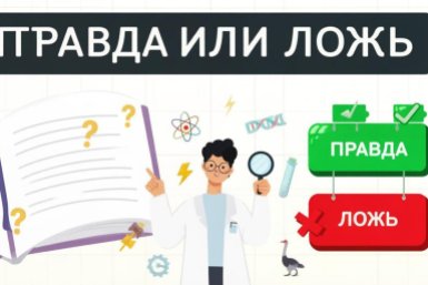 Тематическое изображение Создано с помощью ИИ