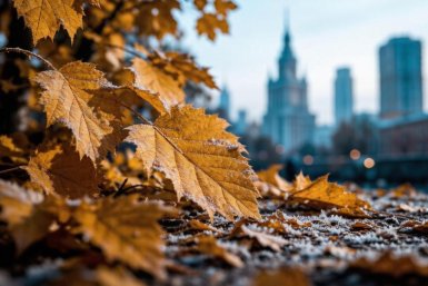 От -5 до 0: синоптики дали точный прогноз на 1 ноября в Москве и Подмосковье
