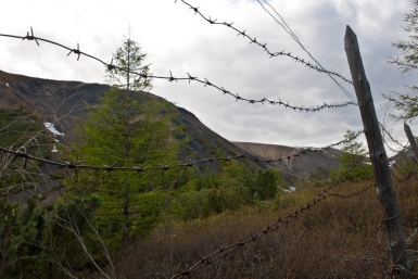 Тюрьма без решеток: лагеря ГУЛАГа занимали одну третью часть территории Якутии