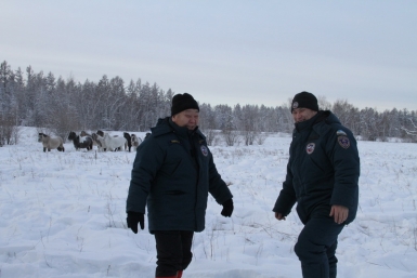На оперативную готовность проверили молодых спасателей Якутии Николай Фатеев, Служба спасения РС (Я)