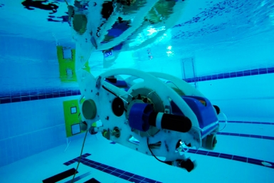 ДВФУ готовится к международному турниру RoboSub-2016 Пресс-служба ДВФУ