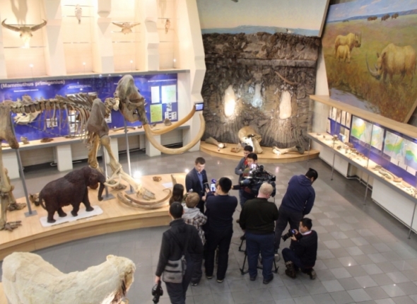 Блюдо выходного дня: кабачки в омлете