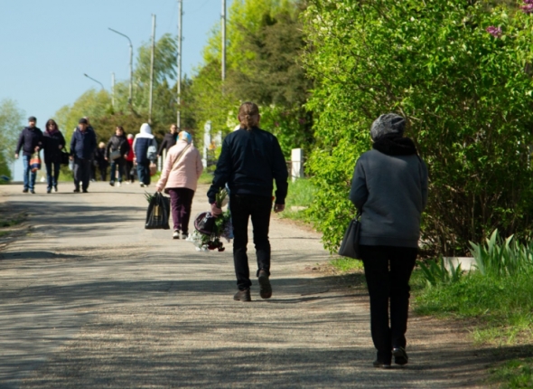 Новость дня