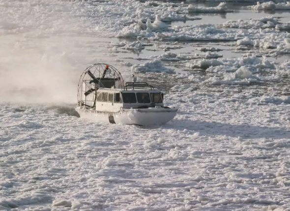 Новость дня