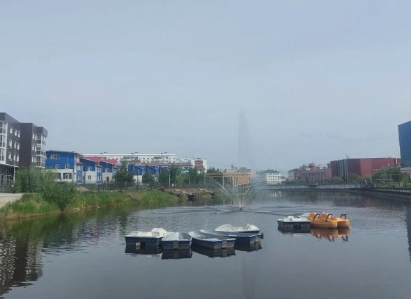 Новость дня