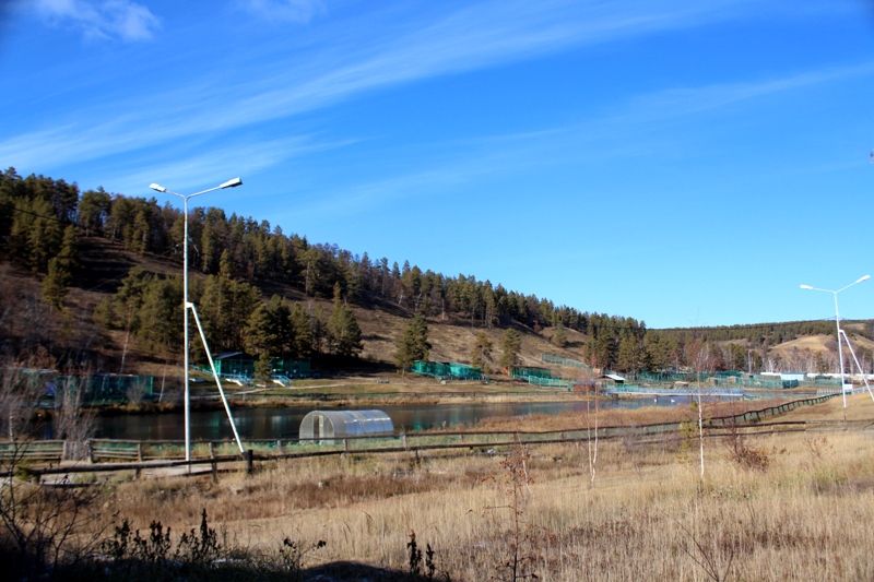 Орто Дойду Мария Павлова