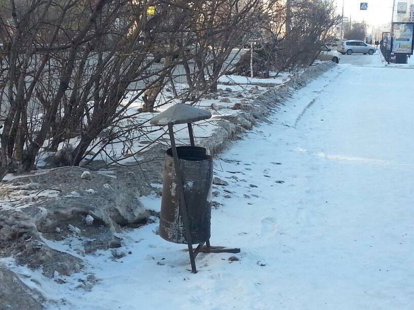 В Якутске появится 250 новых мусорных урн, Фото с места события собственное
