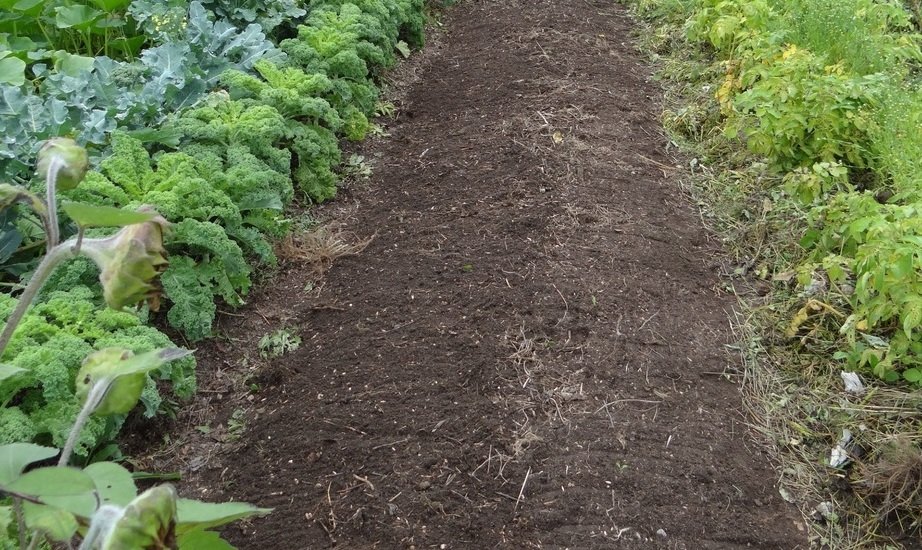 pxhere.com pxhere.com