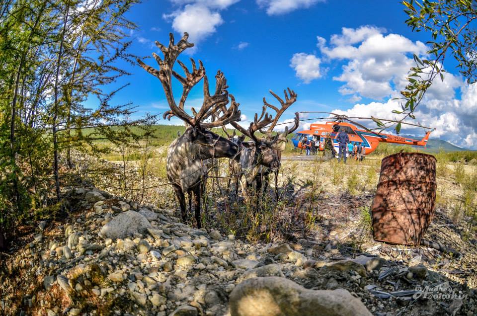 Досрочные выборы на стойбищах оленеводов, Фото с места события собственное