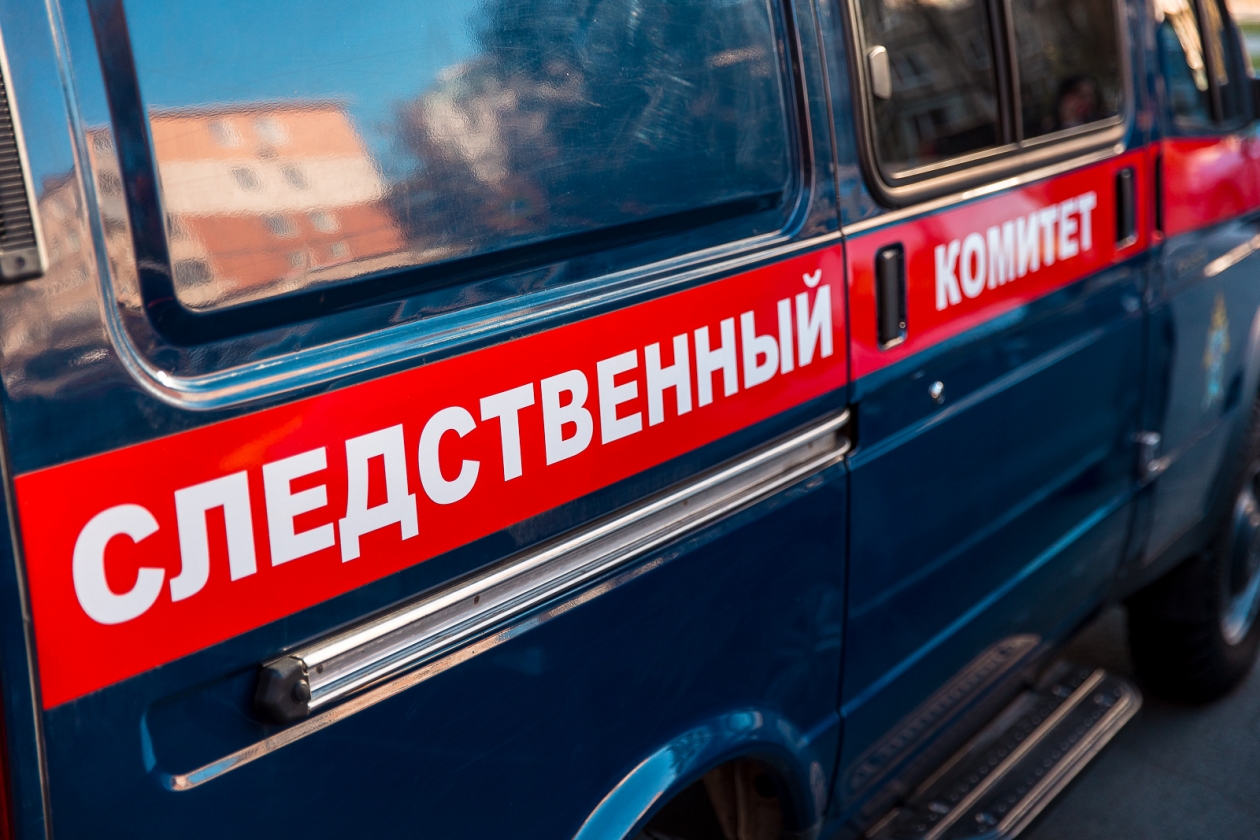 По факту гибели юноши на территории парка в Якутске возбуждено уголовное дело Илья Аверьянов, ИА PrimaMedia