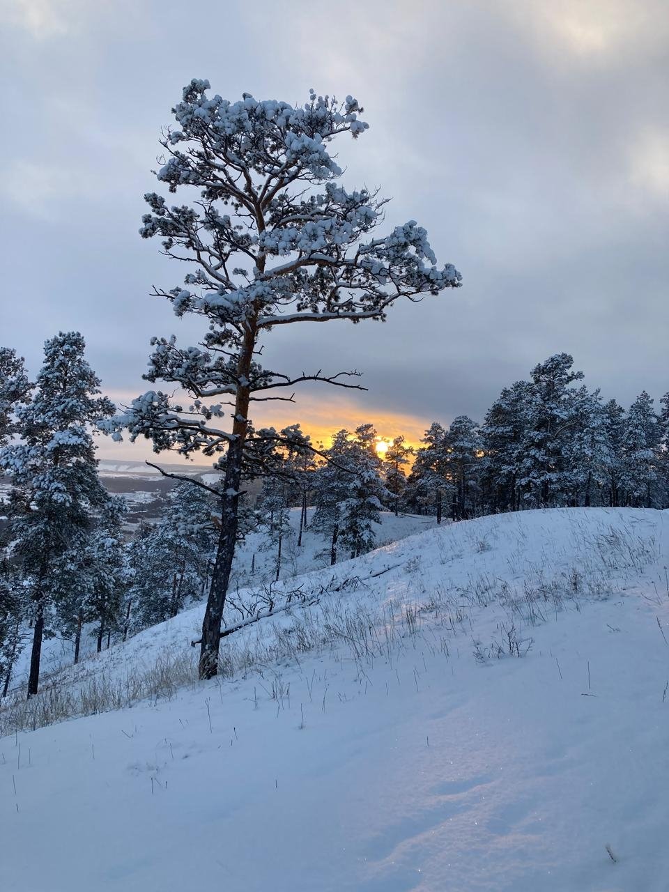 Гороскоп на 25 января:  День подходит для взвешенных шагов и спокойного общения ИА YakutiaMedia