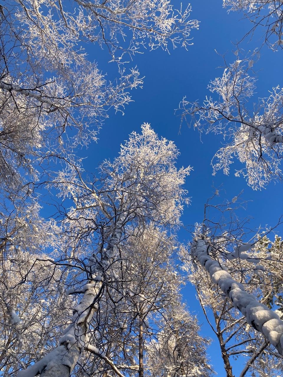 Ветреной и пасмурной будет наступающая неделя в Якутске ИА YakutiaMedia