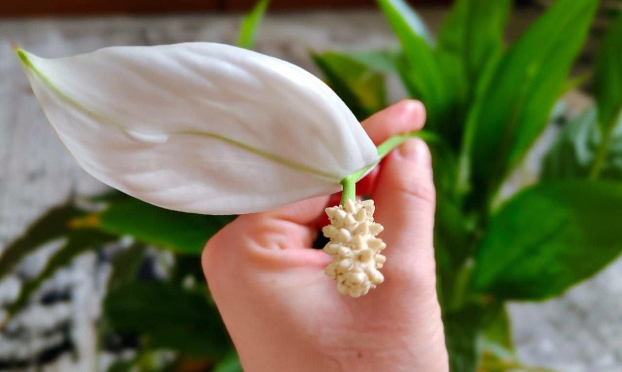 Тематическое фото ИА SevastopolMedia