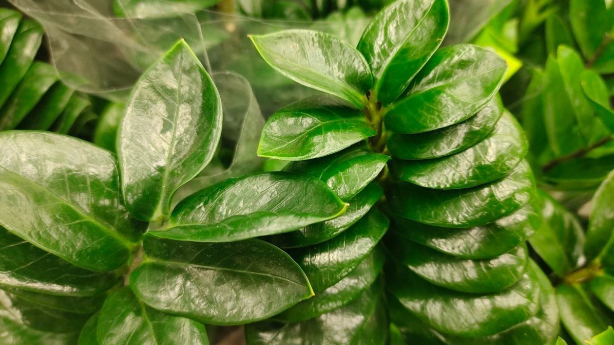 Тематическое фото ИА SevastopolMedia