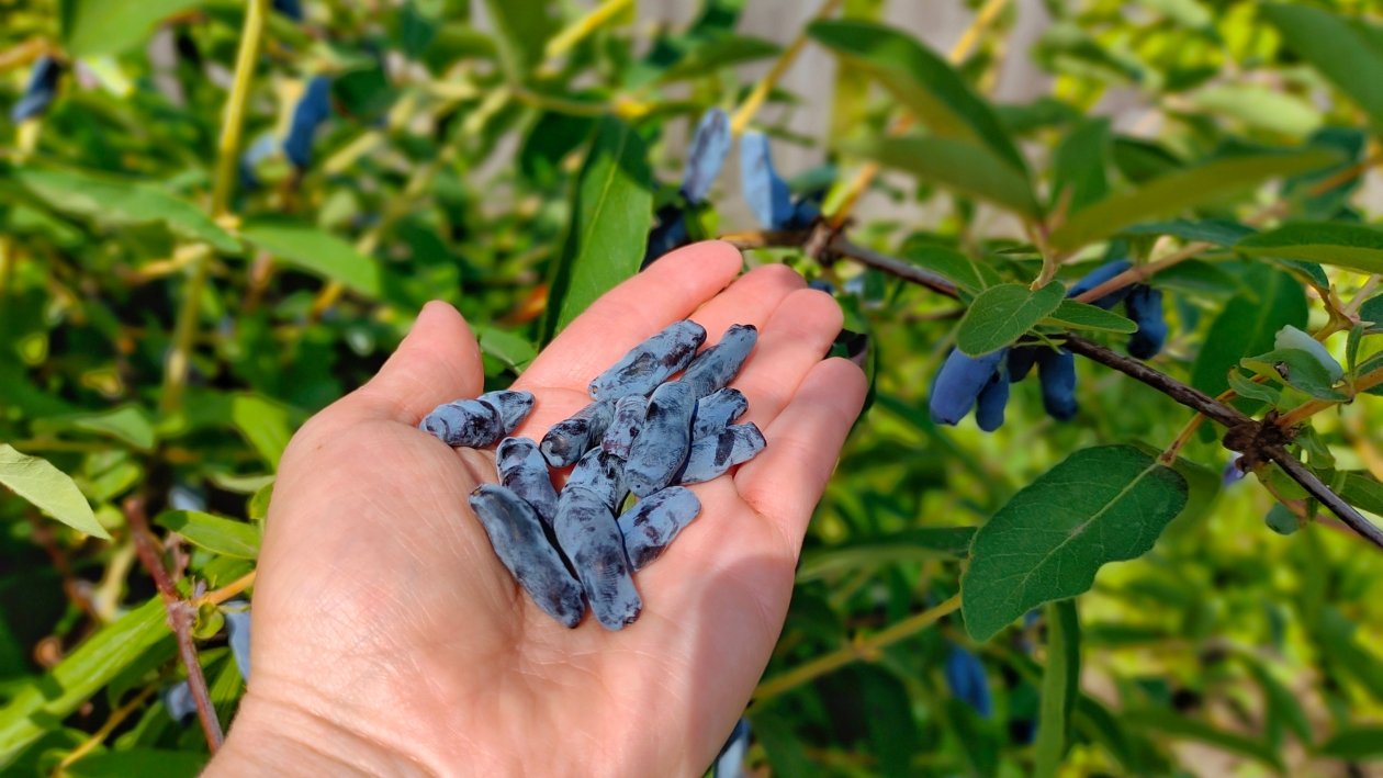 Тематическое фото Автора