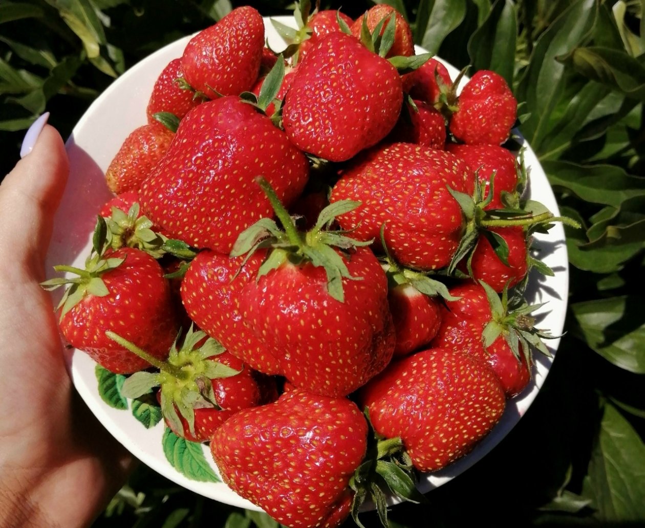 Тематическое фото &quotИА PrimaMedia&quot (18+)