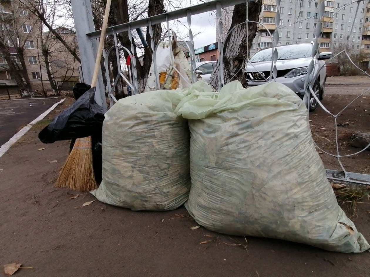 Россиянам предлагают скидку на ЖКХ за участие в субботнике Абрамченко Анета