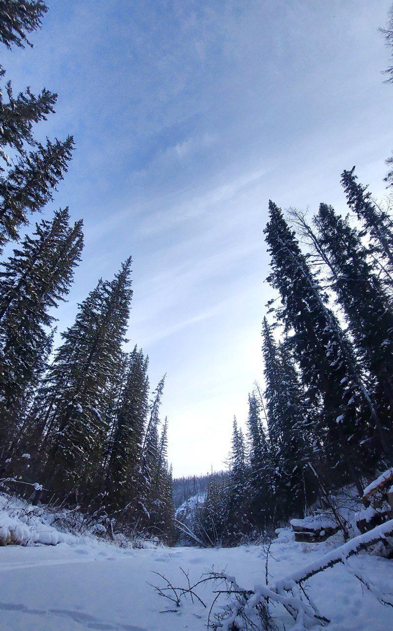 Ветреной и теплой будет наступающая неделя в Якутске ИА YakutiaMedia