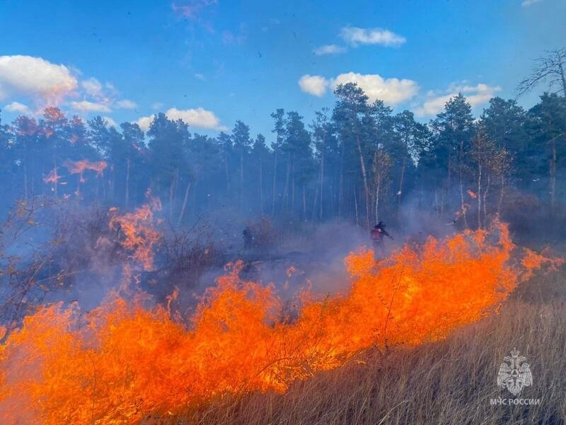 IV класс пожарной опасности леса прогнозируется в трех районах Якутии МЧС России по РС (Я)