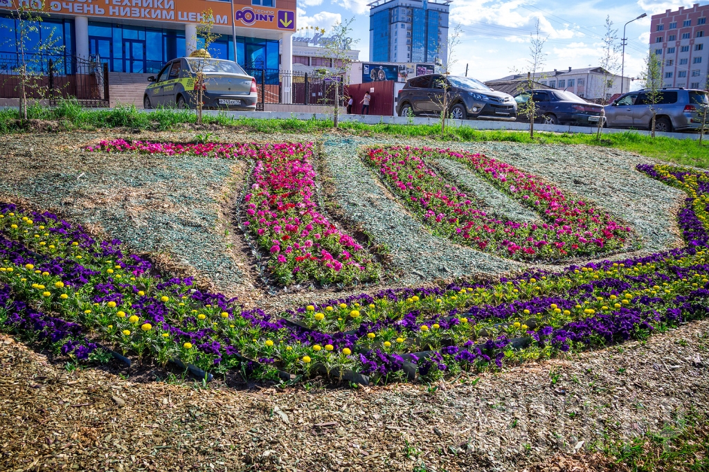 Плавающие клумбы появились на Теплом озере Якутска
