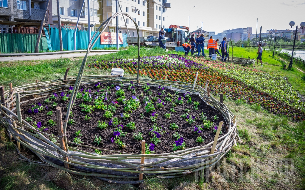 Плавающие клумбы появились на Теплом озере Якутска