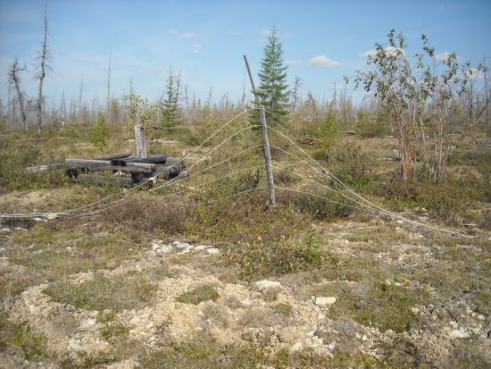 Ограждение на территории Кратон-3