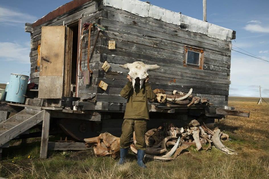 Древние якуты принимали торчащие из земли бивни мамонта за рога мифического Быка холода
