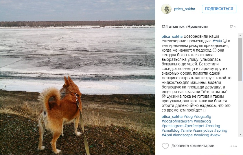 Лучшие фотографии Якутии за неделю из Instagram