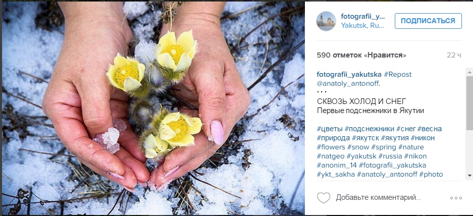 Лучшие фотографии из Instagram