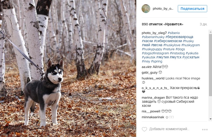 Лучшие фотографии Якутии за неделю из Instagram