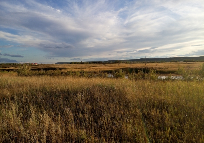 Якутяне не спешат приобрести &quotдальневосточный гектар&quot ИА YakutiaMedia