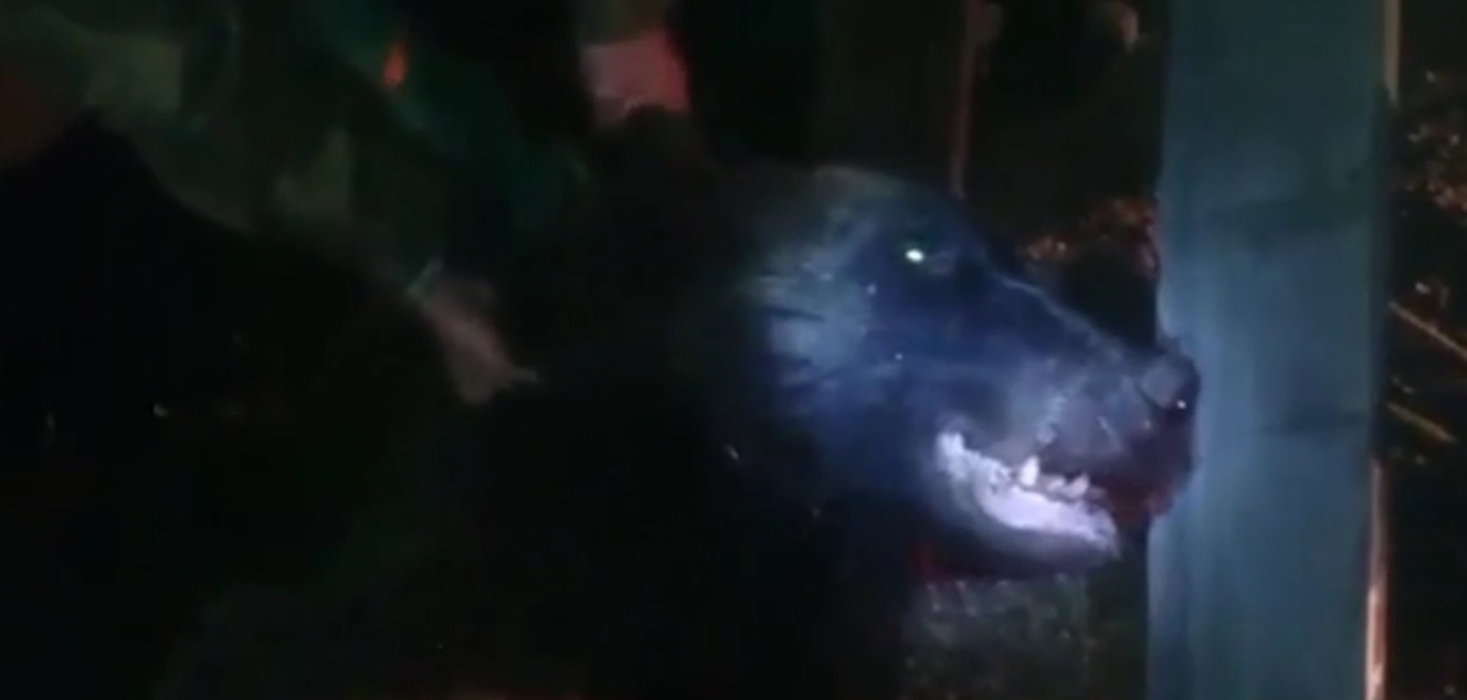 Медведь скриншот, Yakutiamedia