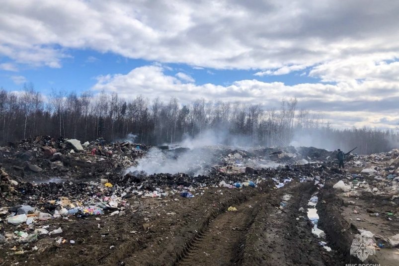 Инспекторы Госпожнадзора продолжают штрафовать виновников лесных пожаров в Якутии