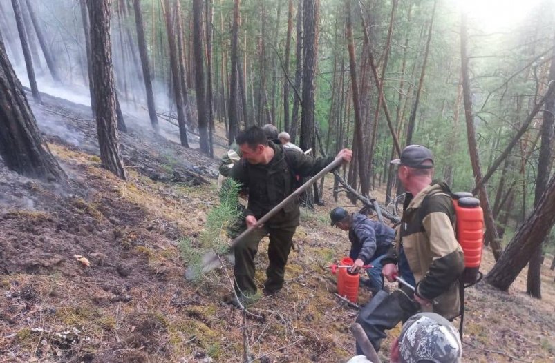 В Якутии за сутки обнаружено 23 лесных пожара