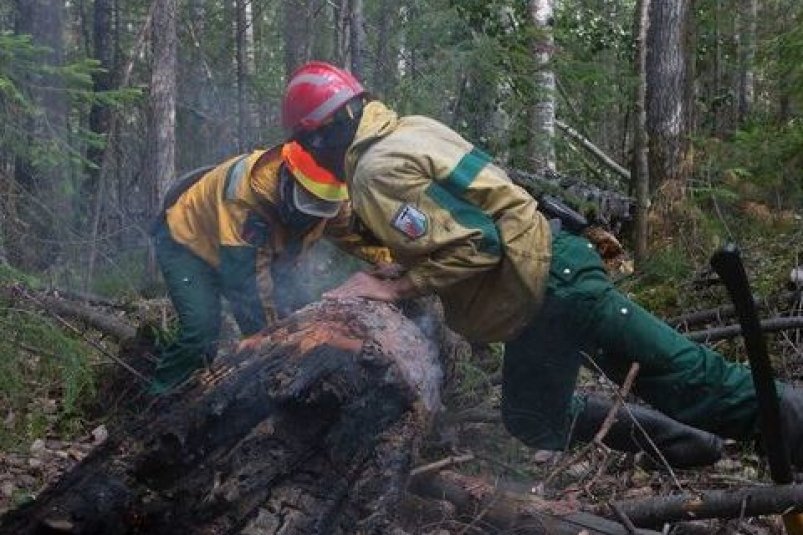 Почти треть задействованных в тушении пожаров сил работает в Олекминском районе Якутии