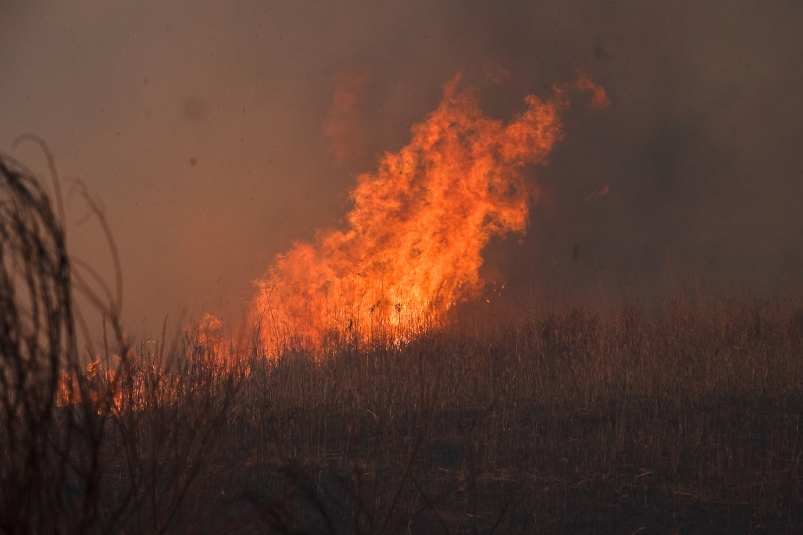 Пожароопасный сезон проходит в крайне непростой обстановке - глава Якутии
